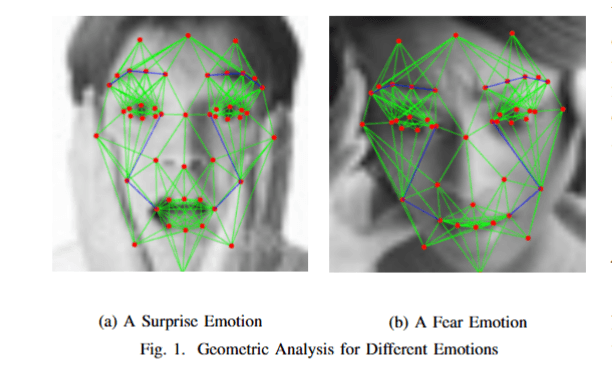 A Lightweight Framework for Facial Emotion Recognition: Leveraging Geometrical Priors with Spatial Features
